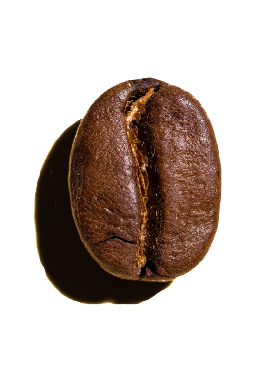 Grano de café Mokaï